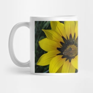 Gazania 12 - Gazania with Bee photograph Mug